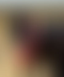 When dreams come true - Donauschwarm v. Millennium x Elfenstein absolviert mit einer hervorragenden WN v. 8,48 seinen 50 Tage Test in Stadl-Paura