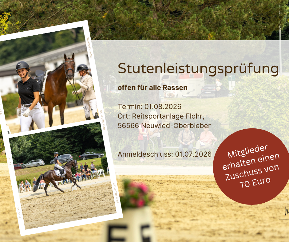 Stutenleistungsprüfung 01.08.2026 in 56566 Neuwied-Oberbieber --> Zuschuss von 70 Euro