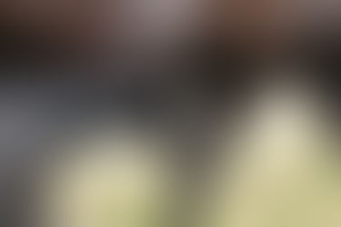 Mehr Adel geht nicht - Rosentänzer