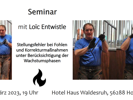 Seminar: Stellungsfehler bei Fohlen mit Loic Entwistle, 03.03.2023