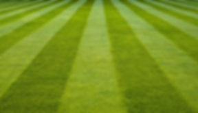 World of Small Engines