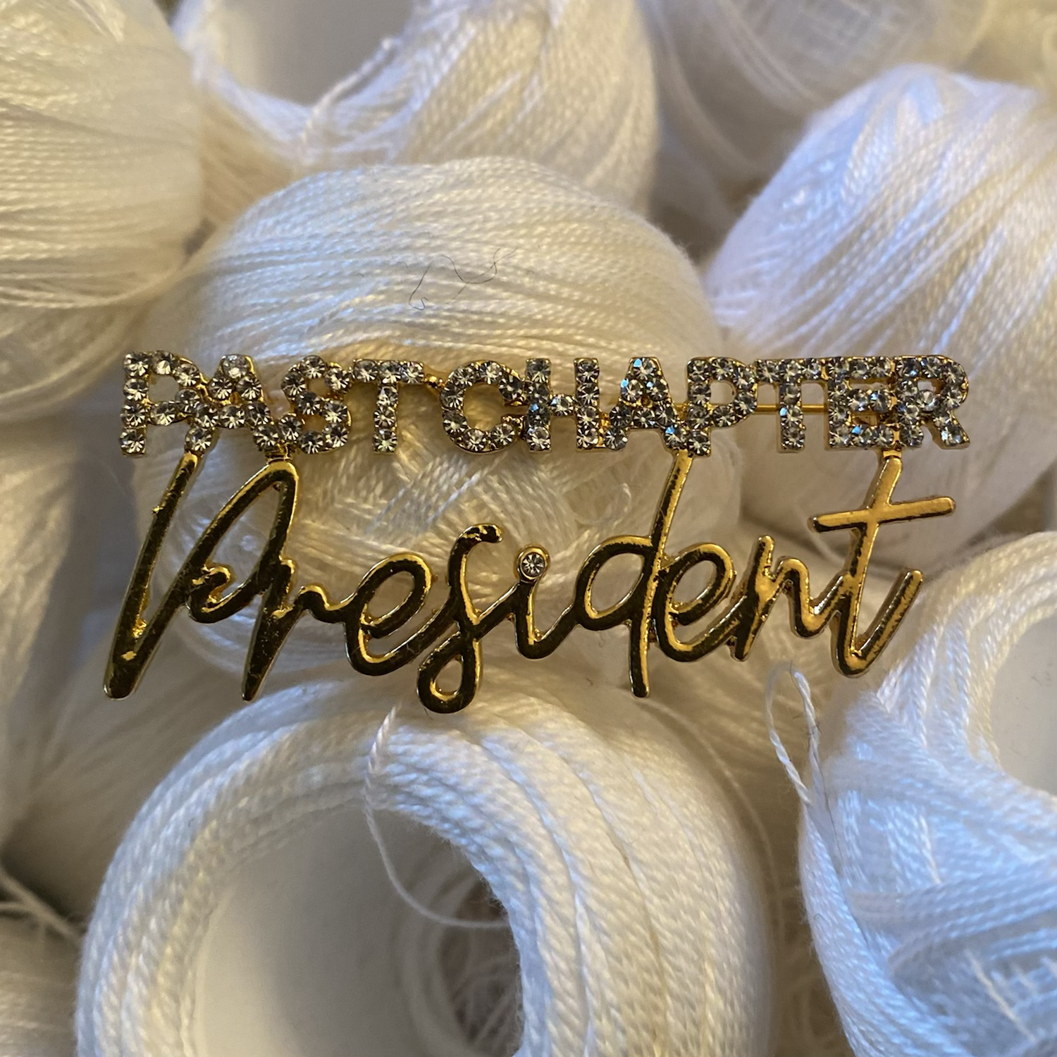 L2.0 - PAST CHAPTER PRESIDENT 