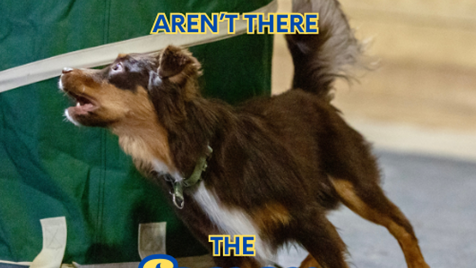 If the foundations aren't there the fancy won't stick.