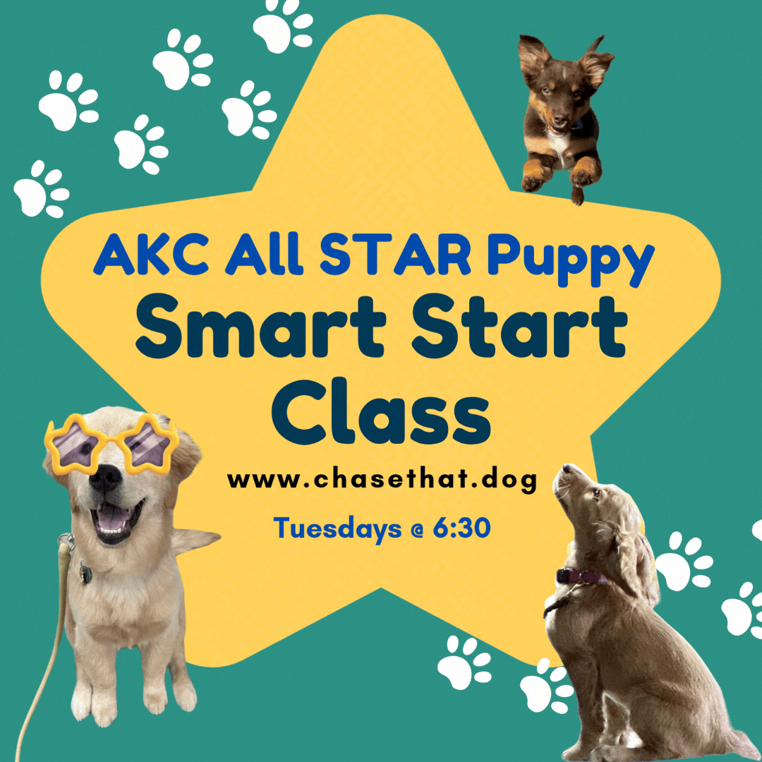 Puppy class