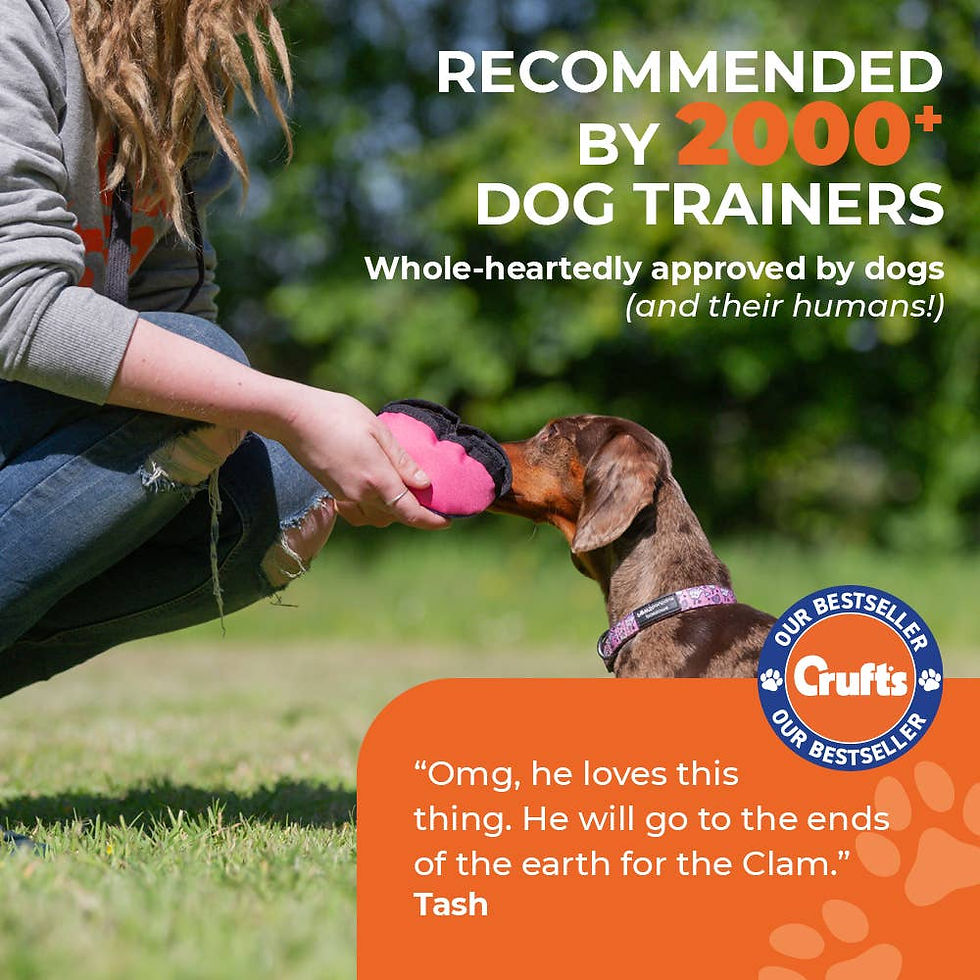 Thumbnail: The Clam - Treat dispensing training toy