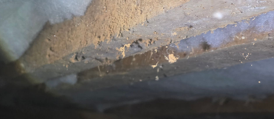 Are subfloor inspections important?