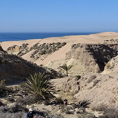 Un motard en équipement bleu sur une moto de cross rouge descend un sentier rocailleux, avec des dunes de sable et l'océan bleu à l'horizon.