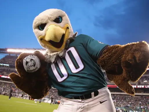 Some Serve. Some Swerve: The Coolest and Least Cool NFL Mascots