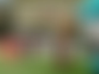 VSTUP ZADARMO! Futbalový sviatok v televízii proti Zlatým Moravciam
