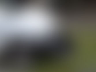 Kopal a dupal po autách, skončil v policajnej cele