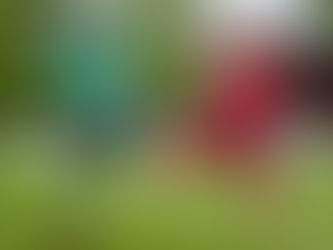 Futbalistom vrátia tri body (+stanovisko komisie)! Finiš pred vyvrcholením súťaže bude priaznivejší