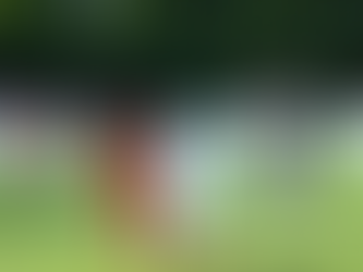 Ukončená domáca séria! Futbalistov Redfox čaká dnes televízna premiéra