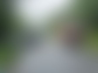 POLÍCIA Smrteľná nehoda i vyčíňanie opitých šoférov