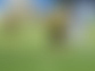 Futbalisti Redfox privítajú lídra z Košíc, zaostávajú o jediný bod