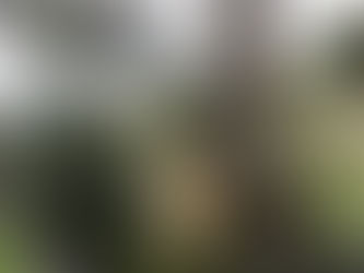 Teplý február vystriedalo ochladenie