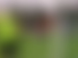 VIDEO Futbalisti odčinili neúspech gólovou smršťou, vyhrali 7:0!