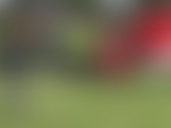 Psychológovia prichádzajú na pomoc. S pocitmi radia nezostávať osamote