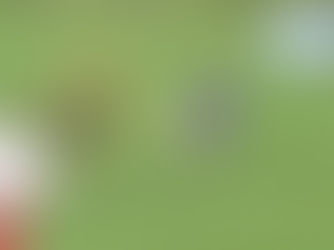 O skvelej výhre našich futbalistov rozhodol sporný moment!