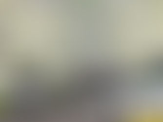 Chodca vymrštilo na čelné sklo! 20-ročný vodič mal pozitívny test na alkohol i metamfetamín