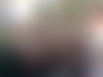 VIDEO Zber bioodpadu v Starej Ľubovni pokračuje. Viete, čo vkladať do kontajnerov?