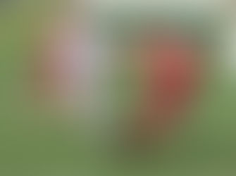 Zmeny vo vedení futbalu a výhliadky v Redfox Stará Ľubovňa. ROZHOVOR so Štefanom Lazorčákom