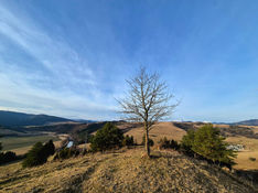 Skoré ráno prinieslo so sebou prvý mráz, teplota klesla tesne pod nulu