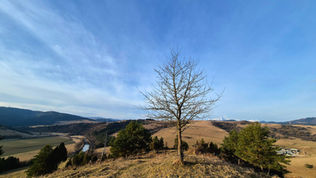 Z hlbokého mrazu do jarných teplôt: Za pár hodín sa oteplilo o neuveriteľných 23 stupňov!