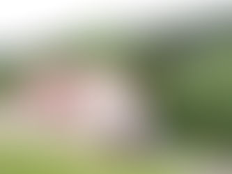 KEDYSI A DNES: Čo napísala klientka Ľubovnianskych kúpeľov v roku 1918?