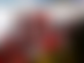 Kritická situácia pri hokejovej mládeži. Šéf klubu poslal poslancom list