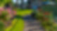 AdanOlivaresDotCom-42.jpg