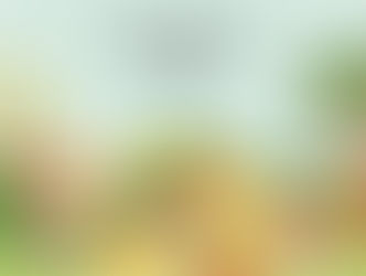 『おうちで探究』を配信いたします