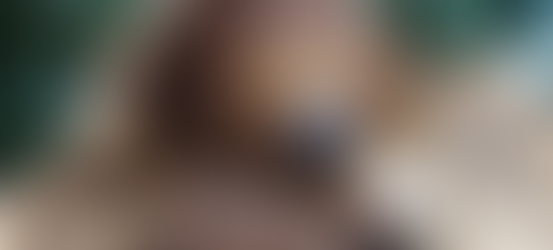 興味深い行動をする動物