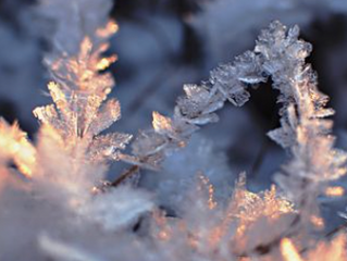 一気に冷え込んできましたね