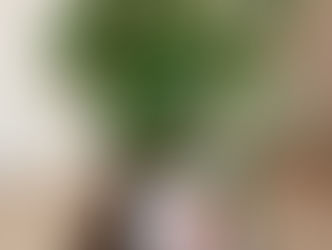 教室の可愛い生き物たち