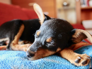 知らぬ間に疲れが出ているかも