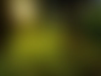 行くべきところに導いて下さる