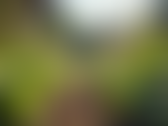 食品教育的重要性與城市農業