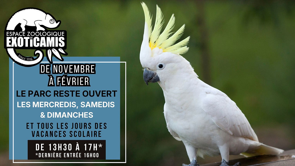 Post FB Rectangle(8).jpg