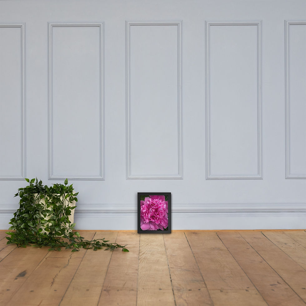 Thumbnail: Pink Peony Framed Print