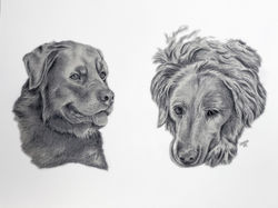 Pencil Drawing of Cruxes and Ariel