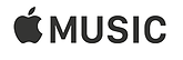icone amusic capture.png