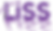 liss%2520vect_edited_edited.png