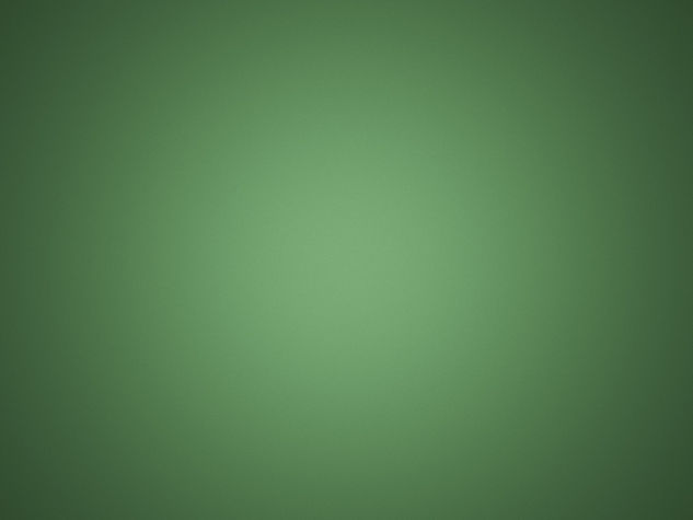 ZTW Website Green.jpg