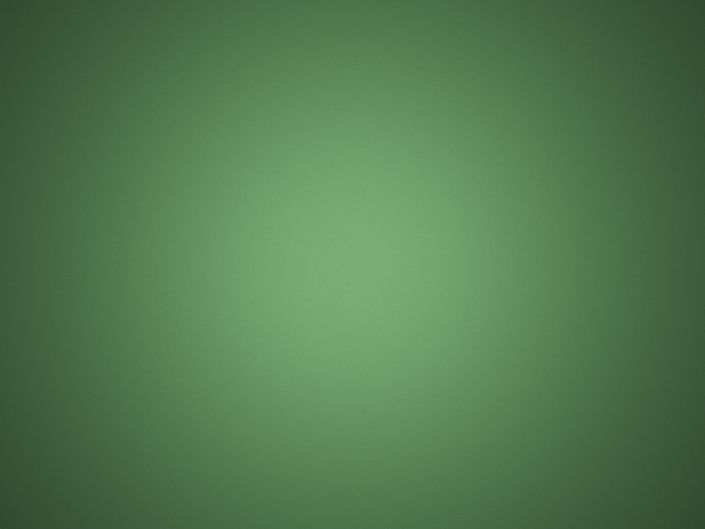 ZTW Website Green.jpg