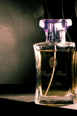 PageImage-485021-2000923-arielmedicament0249