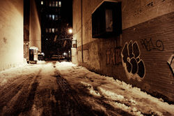 PageImage-485021-1974309-DSC_0004