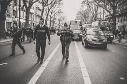 PageImage-485021-4539636-IMG_4693