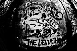 PageImage-485021-2347900-_DSC0263