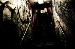 PageImage-485021-1892068-DSC_0808