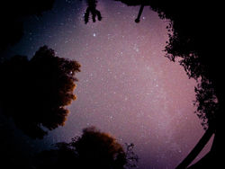 PageImage-485021-2615067-_DSC0568